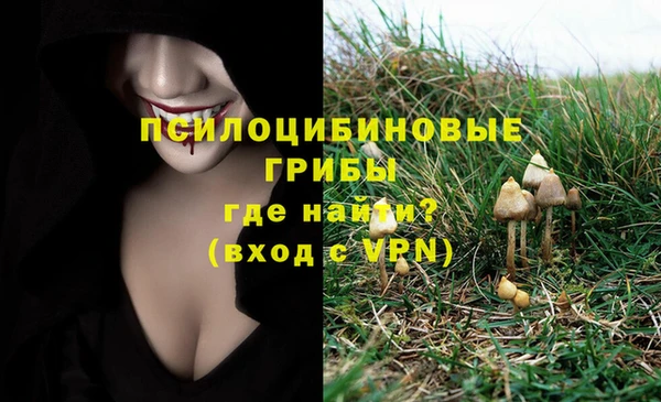 кокс Алзамай