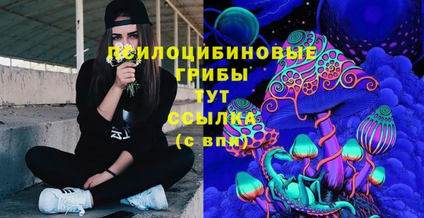 спиды Алексин