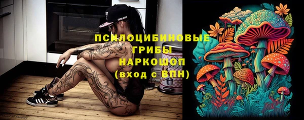 кокс Алзамай