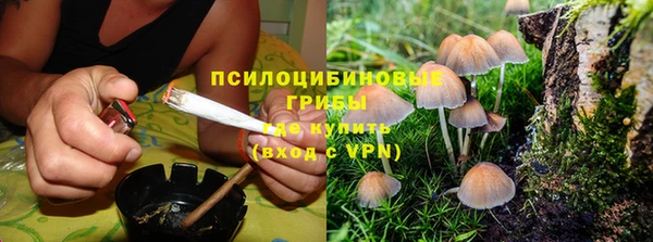 кокс Алзамай