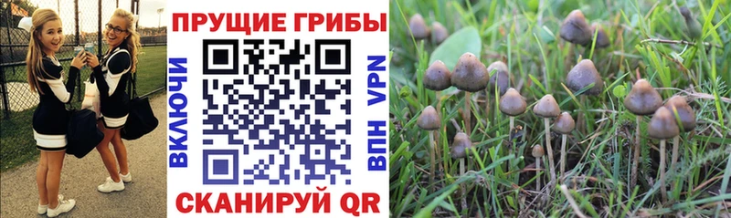 Псилоцибиновые грибы мухоморы  мега ONION  Коркино 